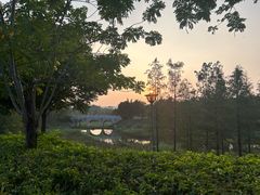 -广东花都湖国家湿地公园