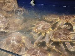 -海景壹号大酒店(滨湖店)