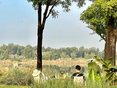 -白鹭湾湿地公园