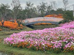 -花开海上生态园