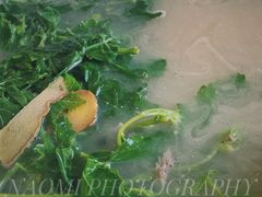 鲫鱼筋菜汤-东兴黄鳝饭店(江洲店)