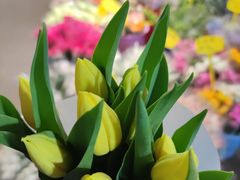 -循礼门鲜花花市(武汉循礼门店)