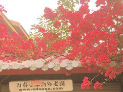 -老鼎万春卤菜(五代传承创始老店)