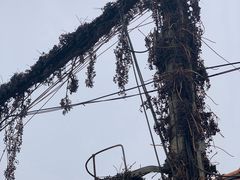 -友利砂锅居(烟台店)