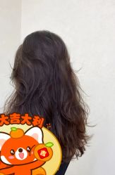 -Z.X HAIR SALON张新美业