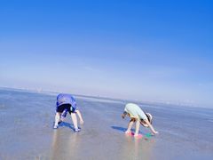 -南汇嘴观海公园