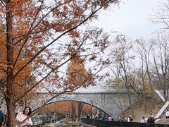 -白水寺森林公园