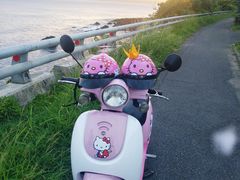 -鹿境梅花鹿生态园区