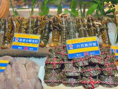 -宝轩渔府·老字号海鲜·正宗津菜(水上店)