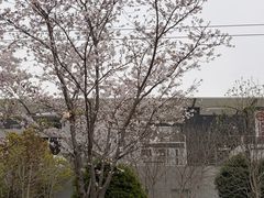 -外高桥保税区南(地铁站)