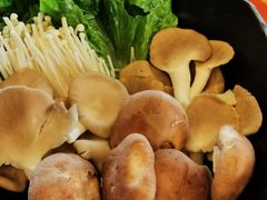 鲜杂菇拼盘-禧鳳記·猪肚鸡火锅(玖洲道店)