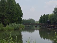 -溱湖国家湿地公园