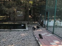 -南京金牛湖风景区