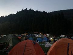 -武陵山森林公园