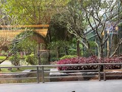 -南宁荔园维景国际酒店·荔园中餐厅