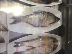 -掌勺人鱼馆(朝阳镇店)