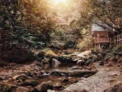 -天门沟九州驿站树上汤泉
