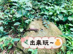 -梅岭神龙潭