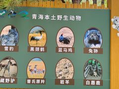 -青藏高原野生动物园