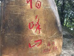 -广州市帽峰山景区