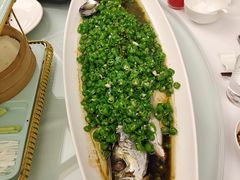 -大蓉和(双楠店)