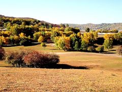 -塞罕坝国家级自然保护区