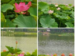 -陶然亭公园