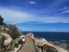 -广东惠东海龟国家级自然保护区