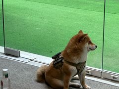 -mYSTEPS健身运动馆(古北店)