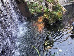 -阿浪山庄