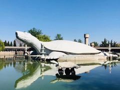 -东方巨龟苑景区