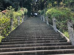 -铁山坪森林公园