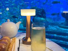 -亚特兰蒂斯•OSSIANO奥西亚诺海底餐厅