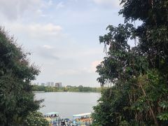 -海珠湖公园