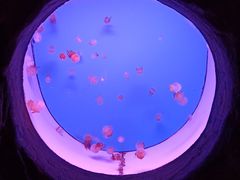 -常州海昌海洋探索馆