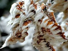 -崂山巨峰游览区