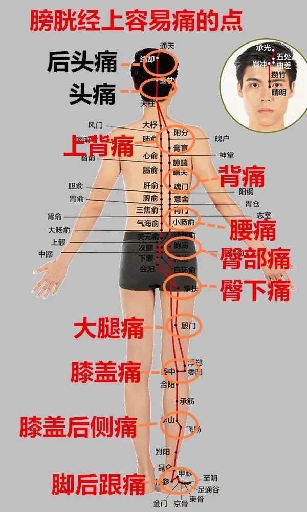 足太阳膀胱经循行图解图片