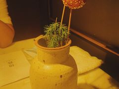 -初蓉丨遇见新川菜(亲贤街荣耀店)