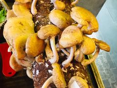 -谭鸭血老火锅(漳州路店)