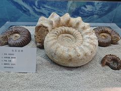 -大同煤炭博物馆