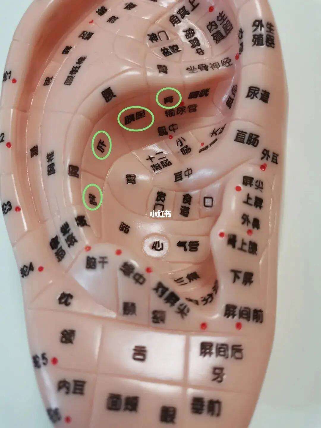 15次
三摩降压沟降血压通血管  15次
四压三角区护心脏强脾胃