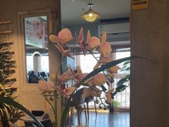-施奈儿.洗头頭療.按摩SPA.采耳(上梅林店)
