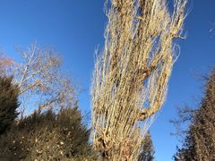 -张掖大佛寺景区