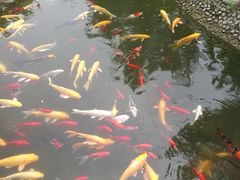 -成飞公园