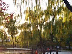 -玲珑塔公园