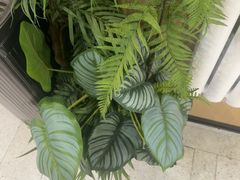 -京门活鱼馆·鱼火锅(百子湾（原红庙）店)