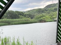 -西湖风景区-江洋畈生态公园