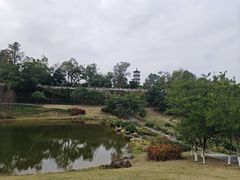 -国恩寺
