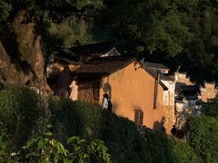 -杨家堂村