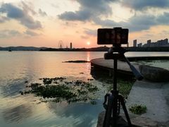 -高子水居